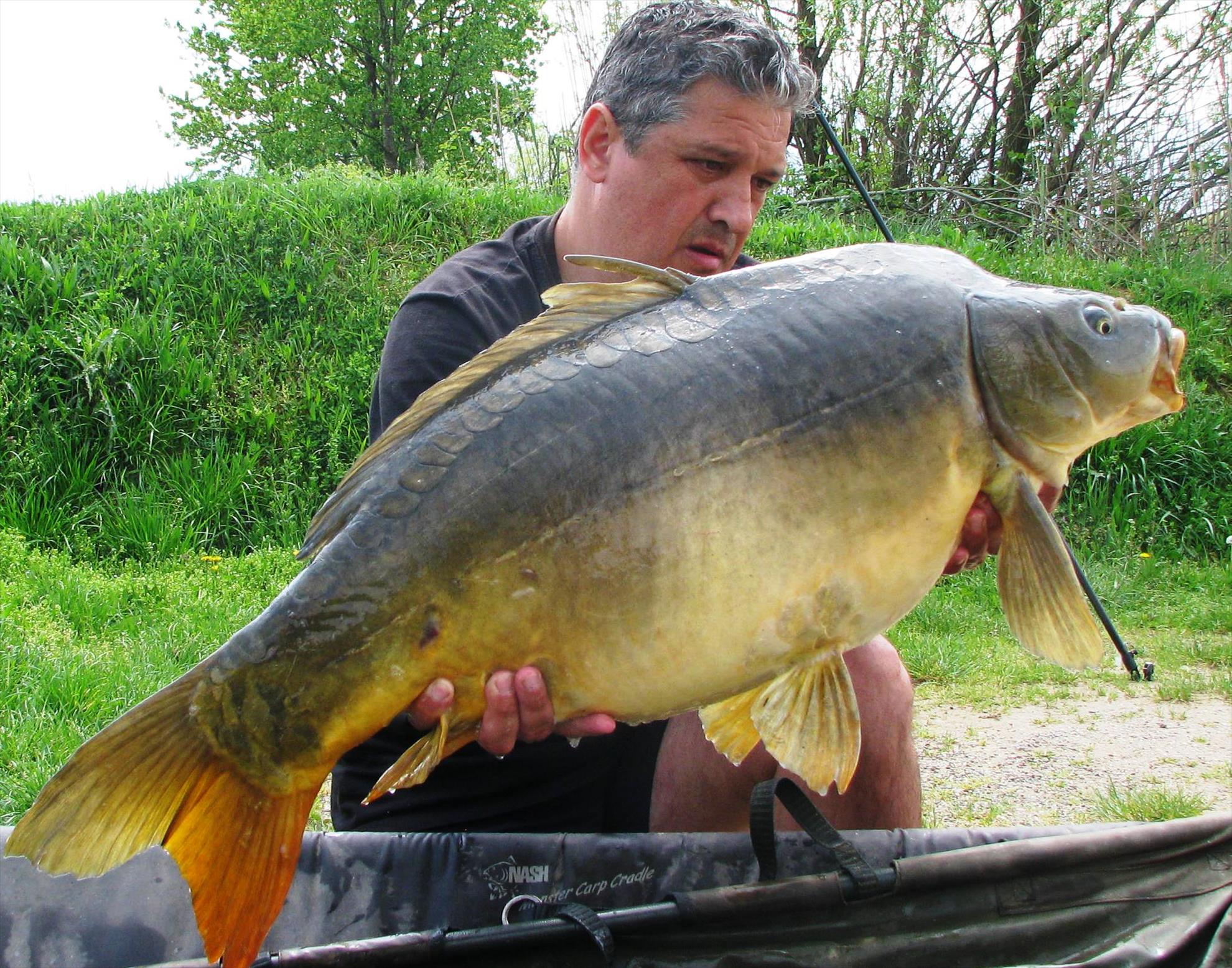 Pelagicevo Jezero  aprilie 2015 - img2070.JPG